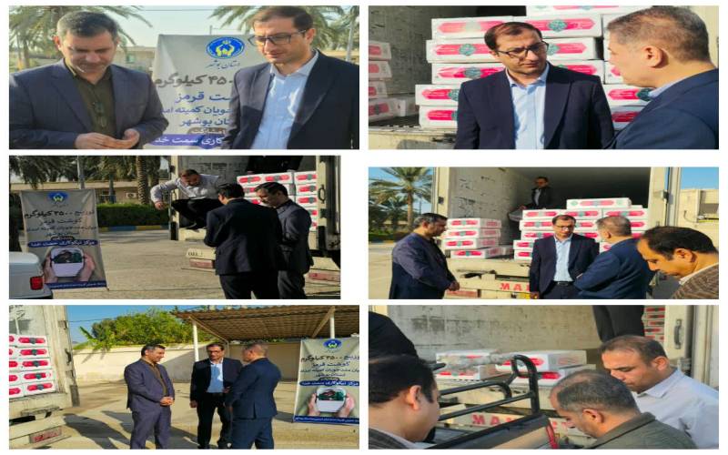 توزیع 4500 کیلو گوشت گرم بین مددجویان کمیته امداد استان بوشهر