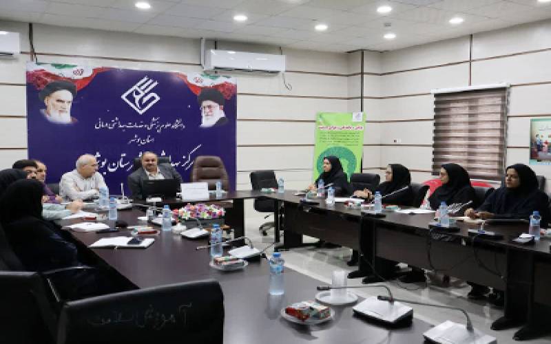 رئیس مرکز بهداشت شهرستان بوشهر گفت: در مقابله با پشه مهاجم آئدس، بهسازی محیط‌های اداری گامی مؤثر در مقابله با پشه مهاجم آئدس است.
