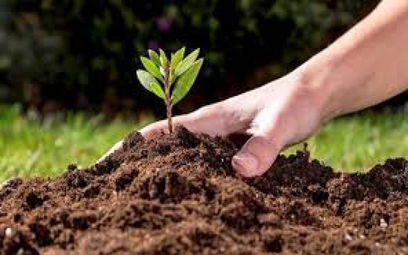 دستیابی به امنیت غذایی نباید به قیمت ازبین رفتن منابع طبیعی تمام شود