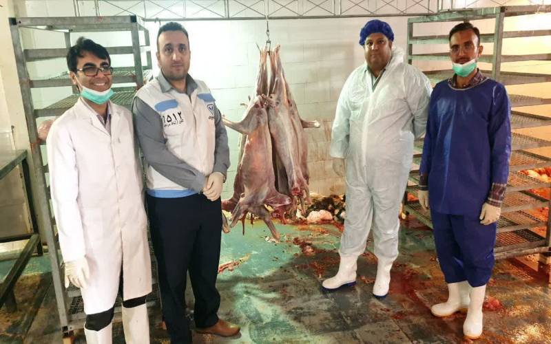 آمادگی دامپزشکی استان بوشهر با ۳۴ اکیپ جهت نظارت بهداشتی و شرعی در روز عید قربان