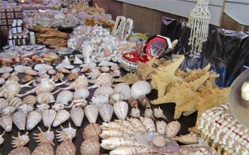 برگزاری نمایشگاه صنایع‌دستی در بوشهر